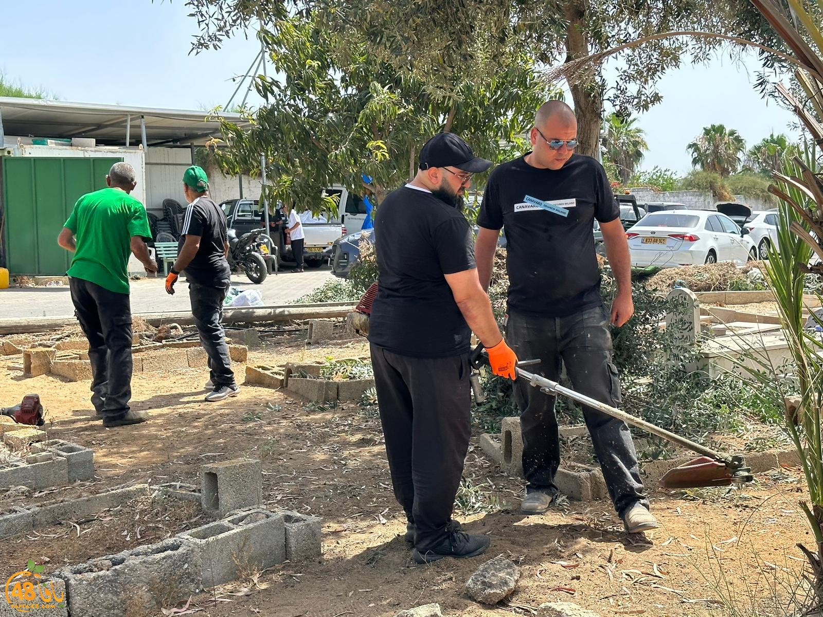 WhatsApp Image 2023-06-17 at 3.39.06 PM.jpeg